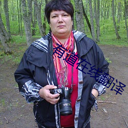 有道在线翻译(譯)