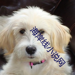 海(hǎi)岸线小(xiǎo)说网
