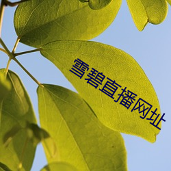 suncitygroup太阳集团--官方网站
