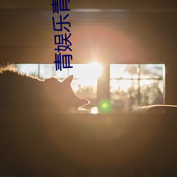 青娱乐青青草