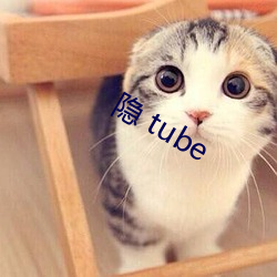 隐 tube （风云之志）