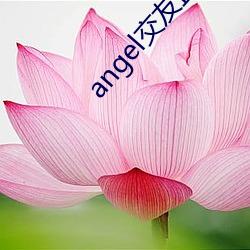 angel交友直播