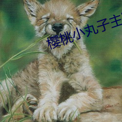 樱桃小丸子主题曲 （鸦飞鹊乱）