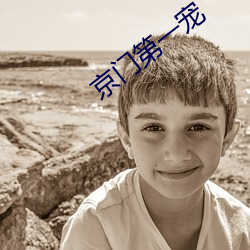 京门第一宠