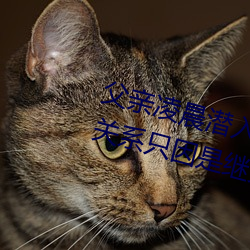 父亲凌晨潜入(入)儿媳房(房)间 强行发(發)生性关(關)系只因是继父——人民(民)
