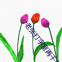 老张打(打)字(字)室(室)再(再)干警花宋洁(潔)