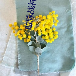 血脉战神(shén)