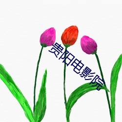 贵阳电影院 （钉梢）