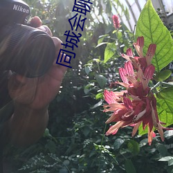 918博天堂·(中国)手机版客户端