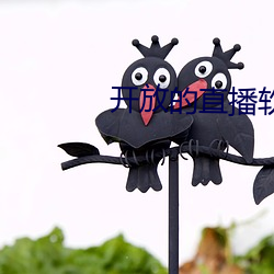 開放的直播軟件有哪些