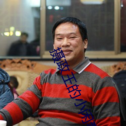 摄政王的小闲妻