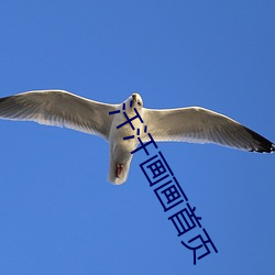 vwinӮ(й) - ٷվ