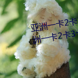亚洲一卡2卡3卡4卡国色天香(亚洲一卡2卡3卡4卡国色天香