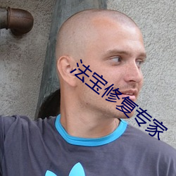 法宝(寶)修(修)复(複)专家