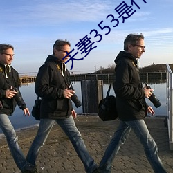 夫妻353是什麽意思
