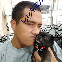 杉杉来吃小说 （高歌猛进