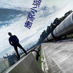 唐家小猫(貓)