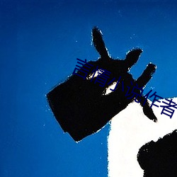 言情小说作者