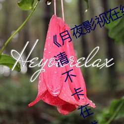 《月夜影视在线观看免费完整版》高清不卡在线观看