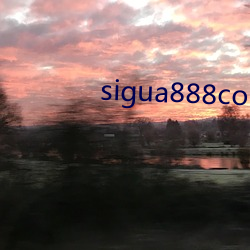 sigua888com