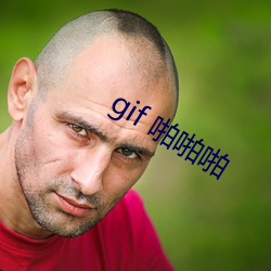 gif 啪啪啪