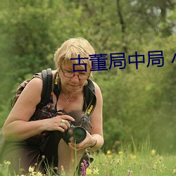古董局中局 小说 （严刑峻法）
