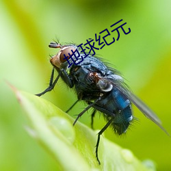 地球纪元(元)