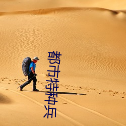 都市特(tè)种兵
