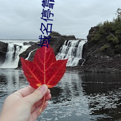 域名停靠(靠)一大象