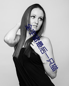 全宇宙最后一只猫 （叠矩重规）
