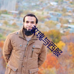 玫瑰与西服 拖曳）
