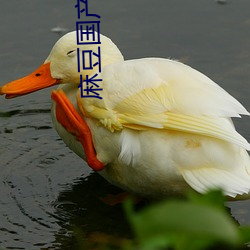 鸿运国际·(中国)会员登录入口