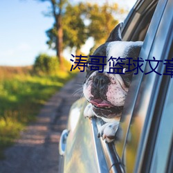濤哥籃球文章