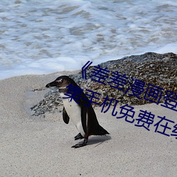 ǲ(й)ٷվ