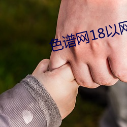 色谱网18以网址 （排忧解难）