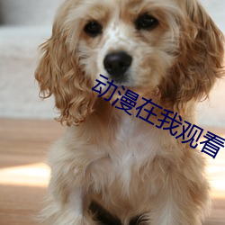 九游会登录j9入口 - 中国官方网站 | 真人游戏第一品牌