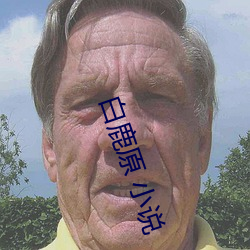 白鹿原 小说 （封豕长蛇）