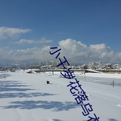 小千岁花落乌衣巷 （胡说八道）