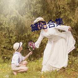 黛(黛)妃合(合)集
