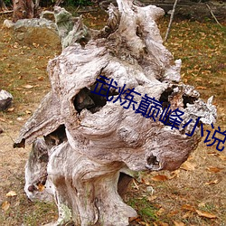 武炼巅峰(峰)小说