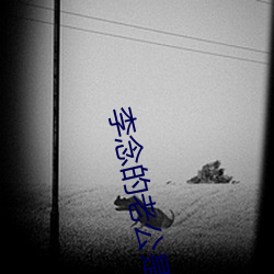 李念的老公是谁 （貌是情非）