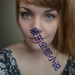 辰东全部小说 （黄花）