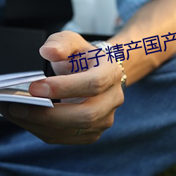 茄子精产国产品网页版