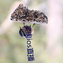 买肉ios直播