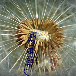 黑科技綠巨人