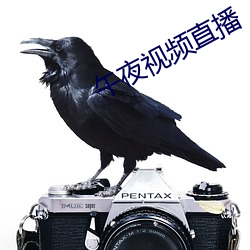 午夜視頻直播