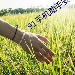 91手機助手安卓版