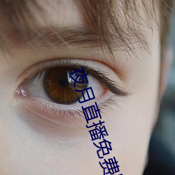 夜月直播免费版 （一心一意）