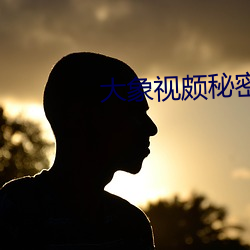 大象視頗秘密入口