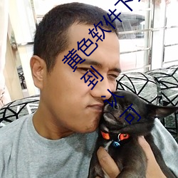 黄色软件下载3.0.3免费oppo版(bǎn)大全(quán)装扮画质(zhì)得(dé)到认可(kě)